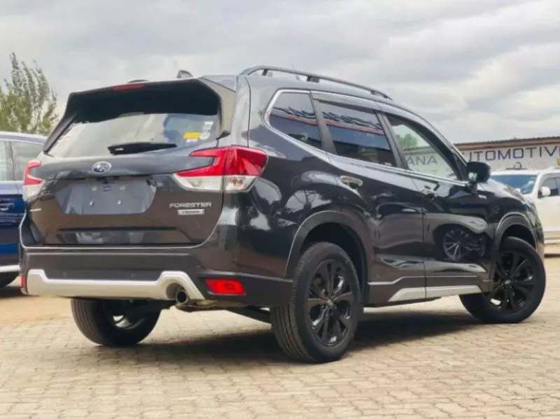 Subaru Forester   - 2019