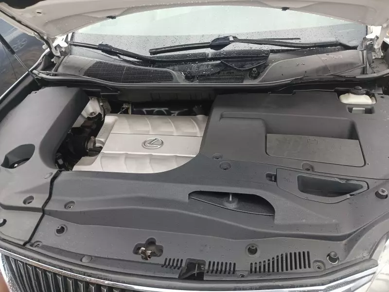 Lexus RX 350   - 2010