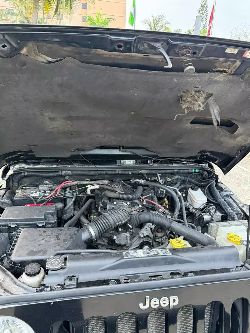 JEEP Wrangler   - 2011