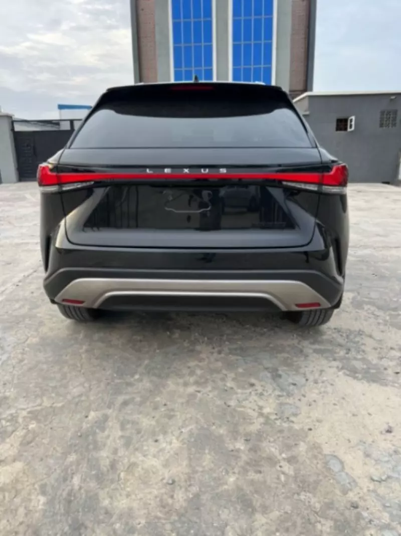 Lexus RX   - 2024
