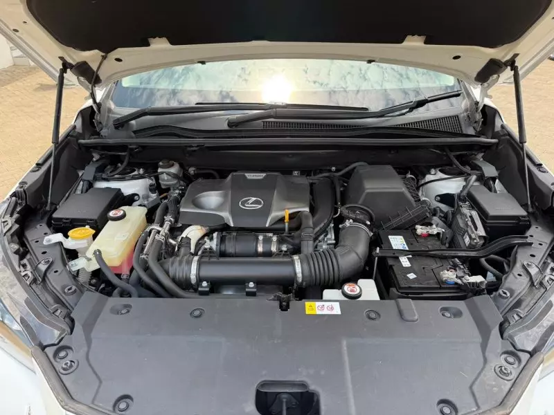 Lexus NX 300   - 2018