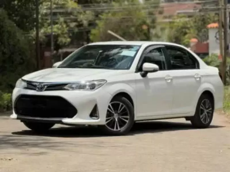 Toyota Axio    -