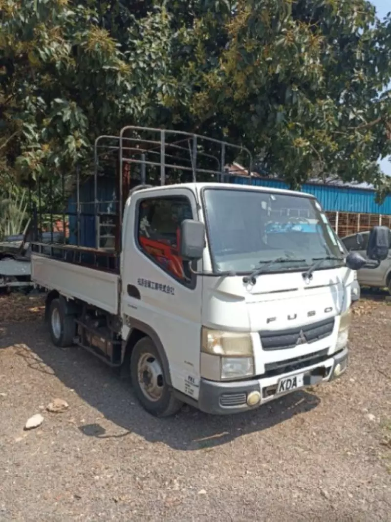 FUSO ROSA   - 2014