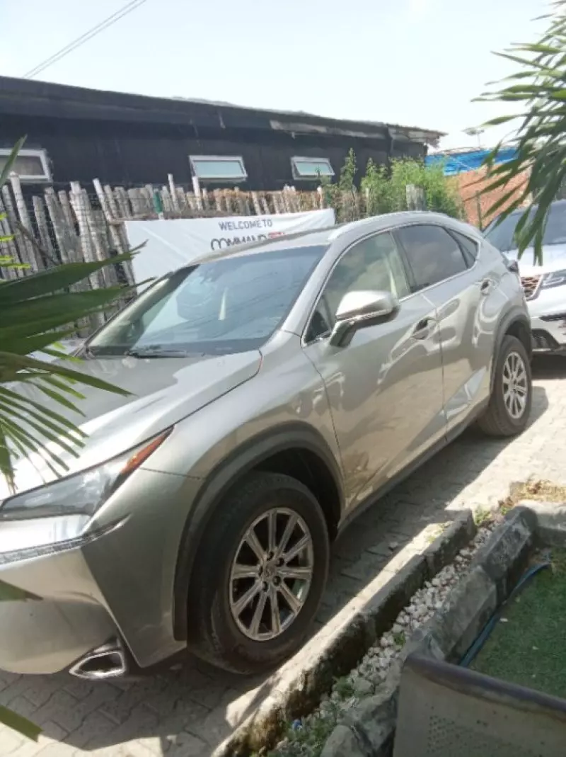 Lexus NX 300