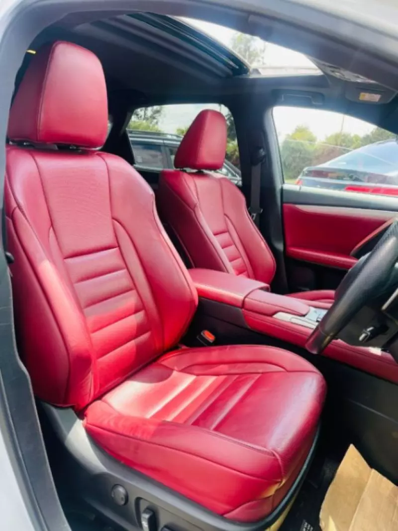 Lexus RX 300   - 2018