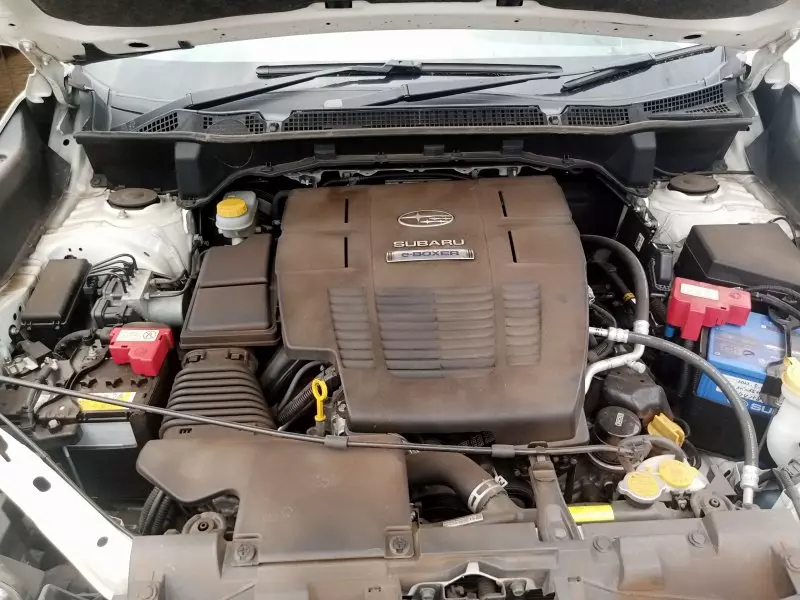 Subaru Forester   - 2019