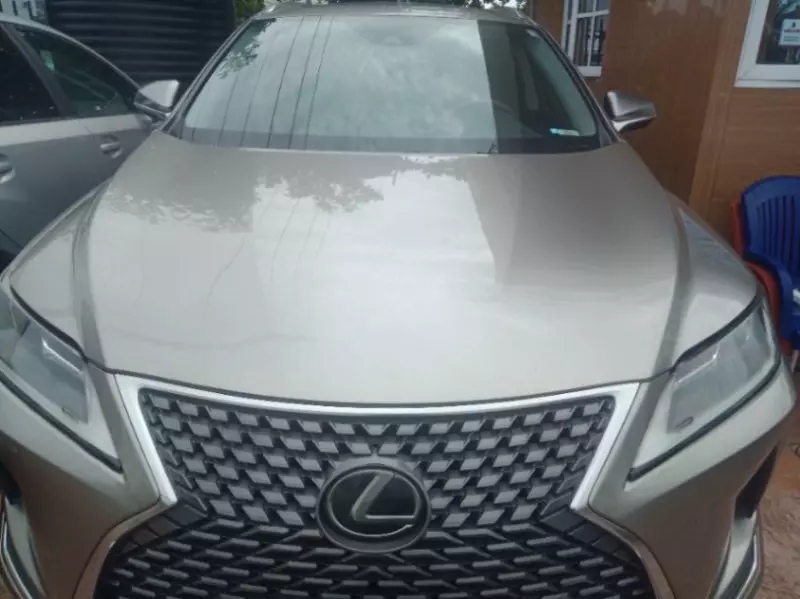 Lexus RX 350   - 2020