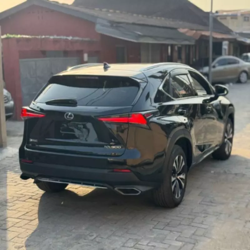 Lexus NX   - 2020