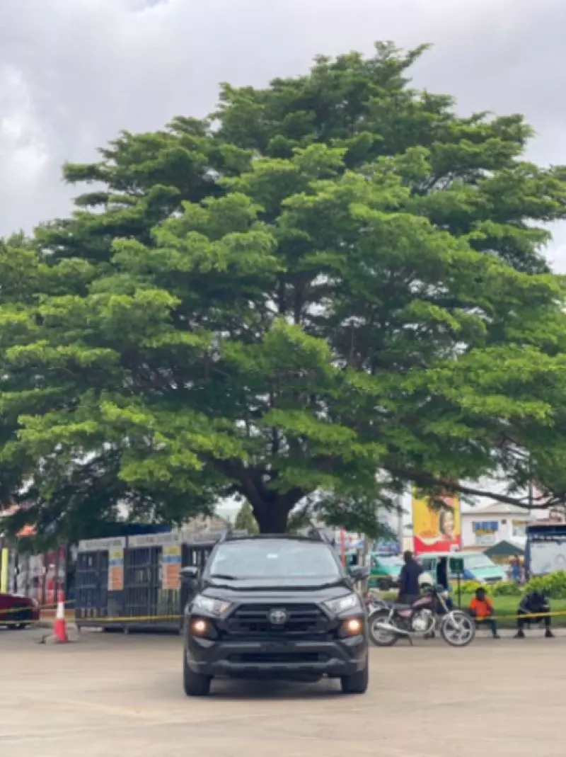 Toyota RAV4   - 2019