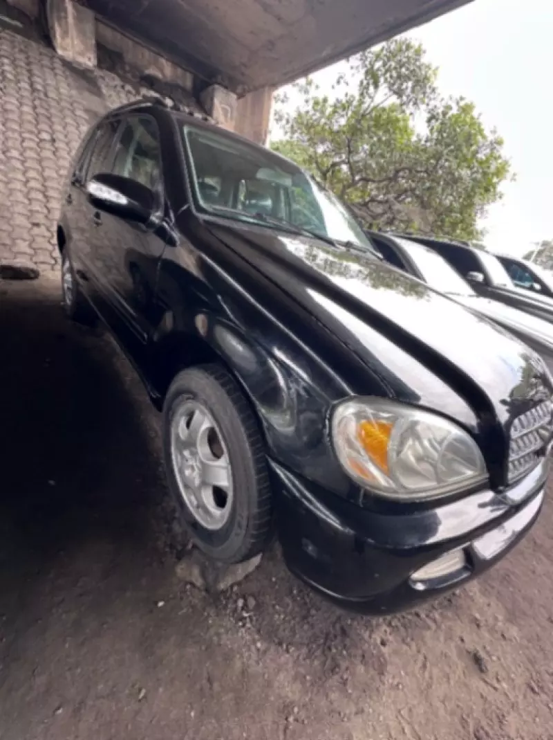 Mercedes-Benz ML 320   - 2004