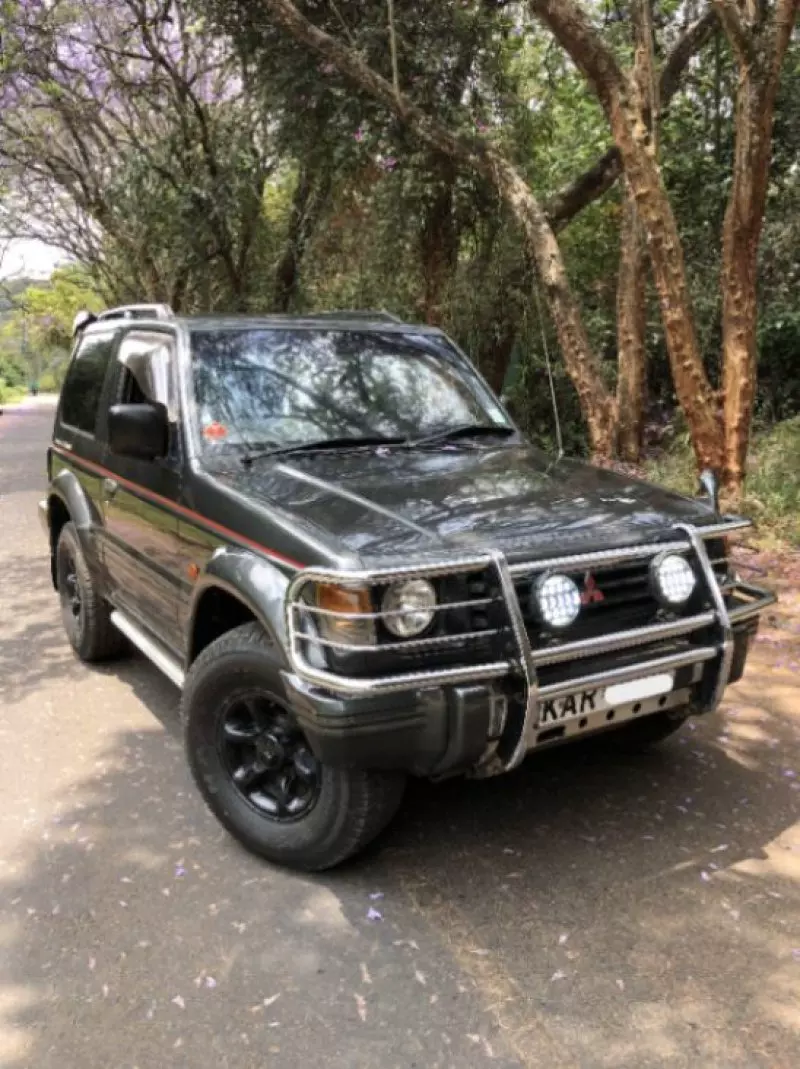 Mitsubishi Pajero - 1996