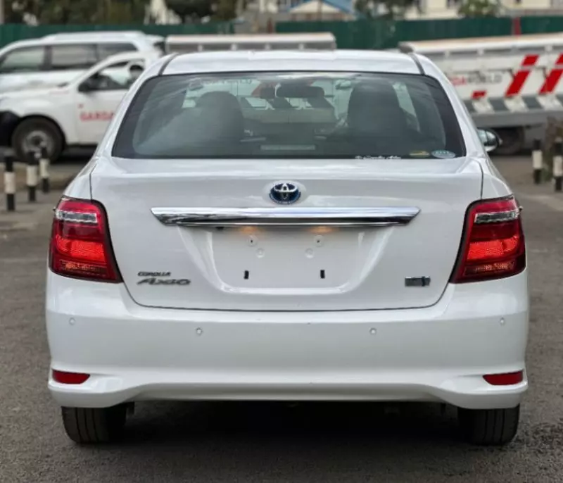 Toyota Axio    - 2019