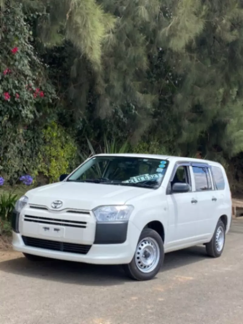 Toyota Probox    - 2019