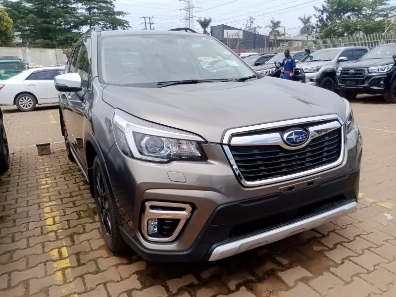 Subaru Forester   - 2019