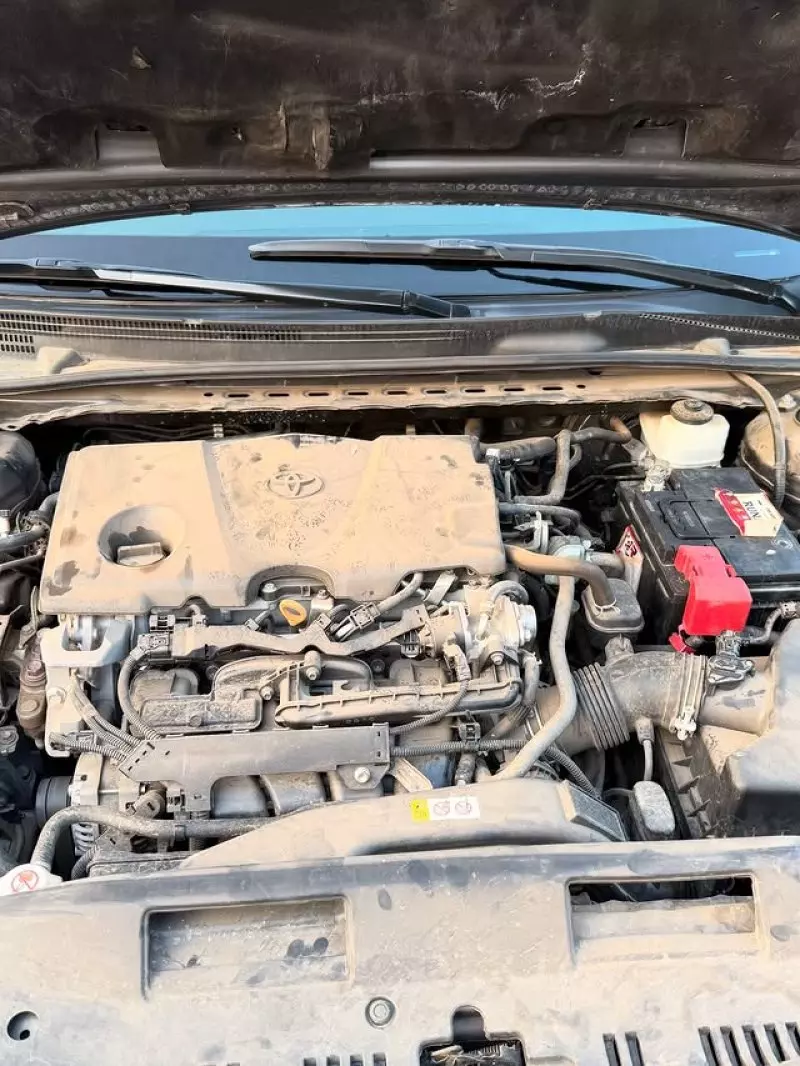 Toyota Camry   - 2021