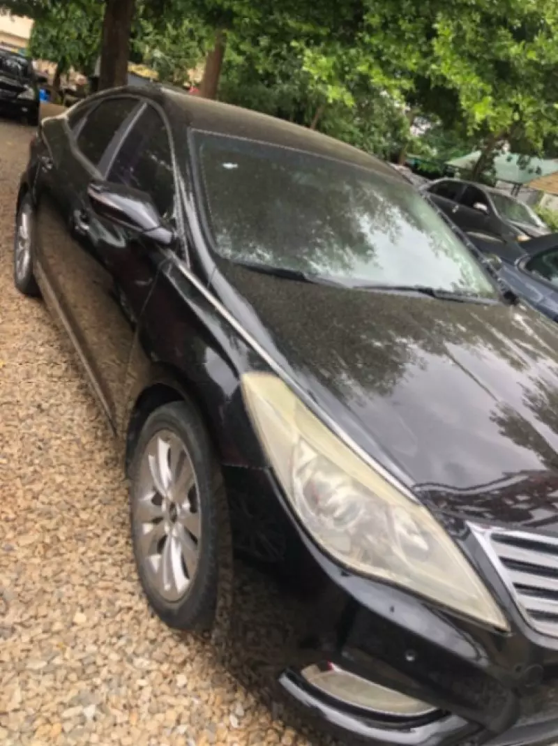 Hyundai Grandeur   - 2010