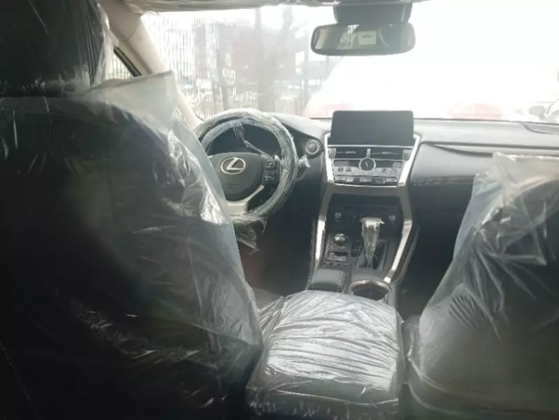 Lexus NX 300   - 2020