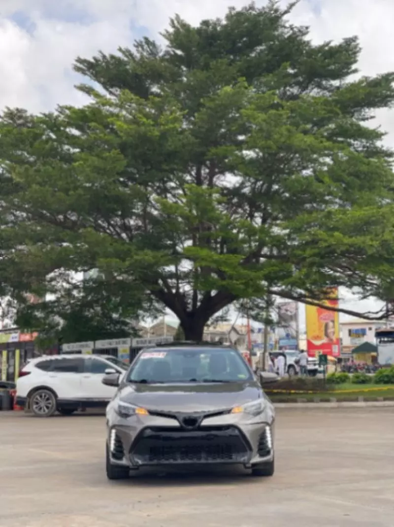 Toyota corolla   - 2019