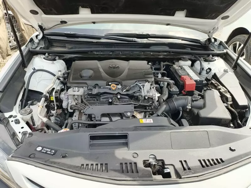 Toyota Camry   - 2019