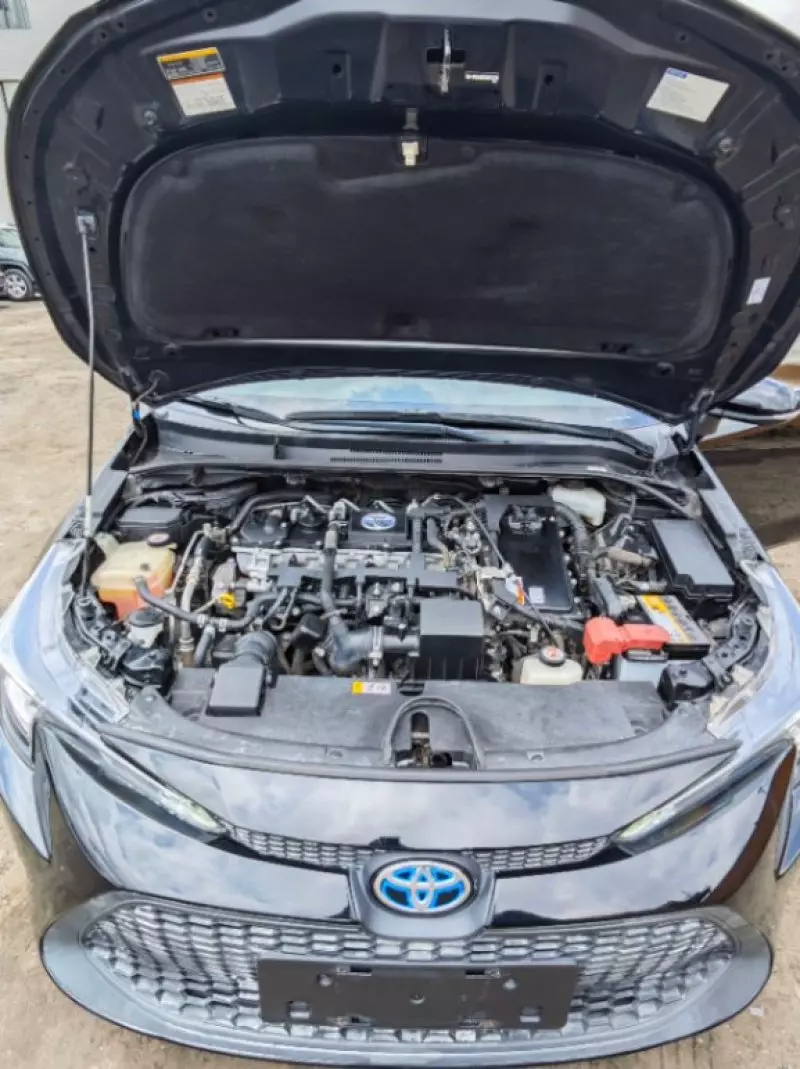 Toyota Corolla   - 2019