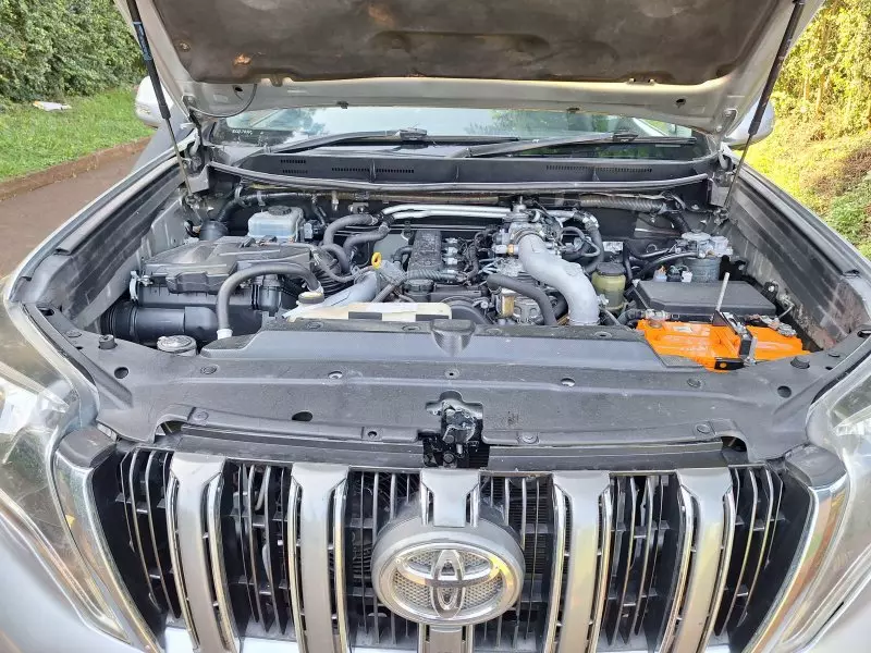 Toyota Land Cruiser Prado VX.L   - 2010
