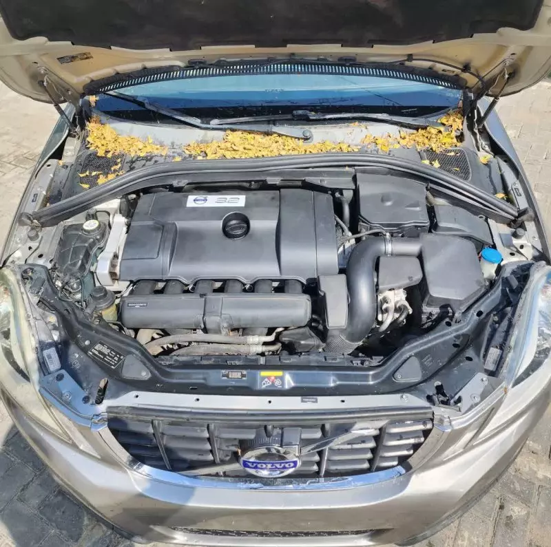 Volvo XC60   - 2011