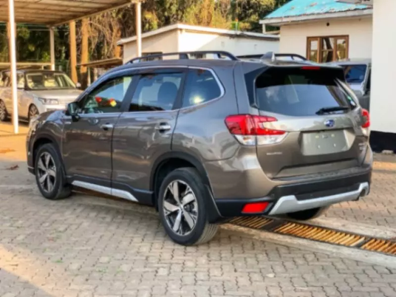 Subaru Forester   - 2019