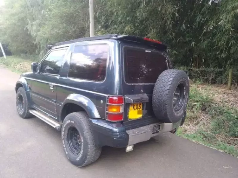 Mitsubishi Pajero - 1992