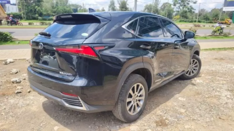 Lexus NX 300   - 2018