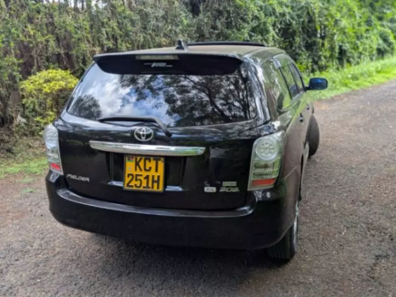 Toyota Fielder    - 2011