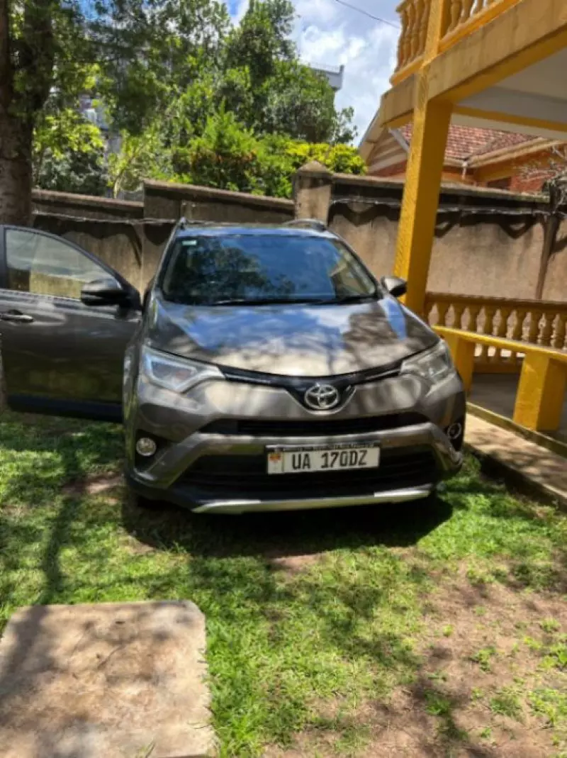 Toyota RAV 4 - 2019