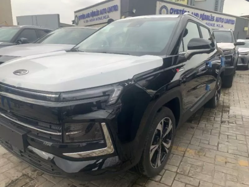 JAC JS4   - 2024