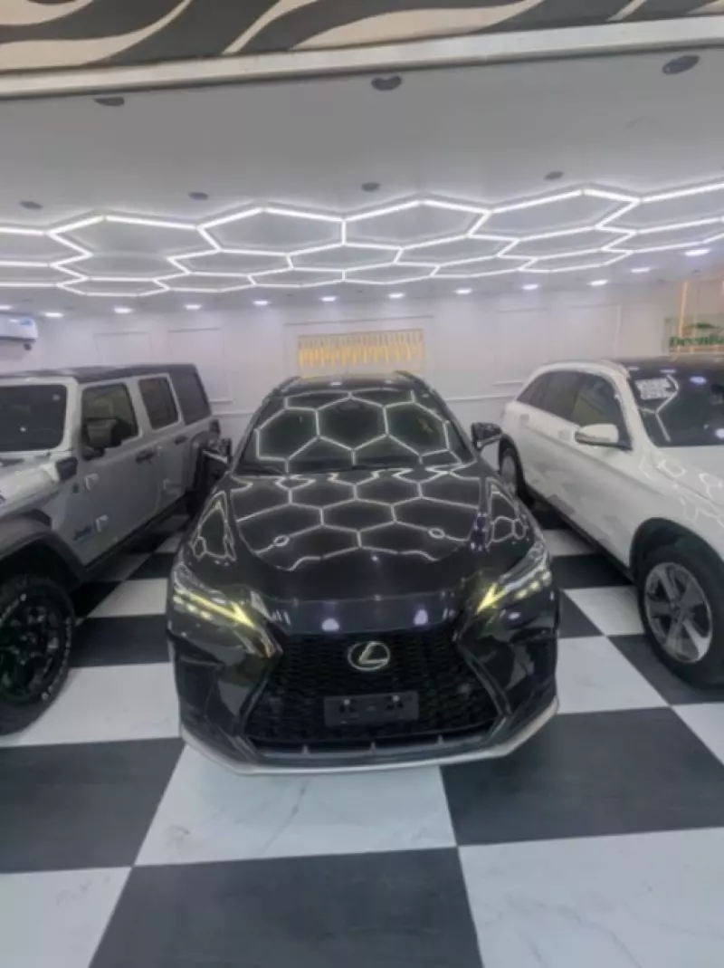 Lexus NX300h Hybrid
