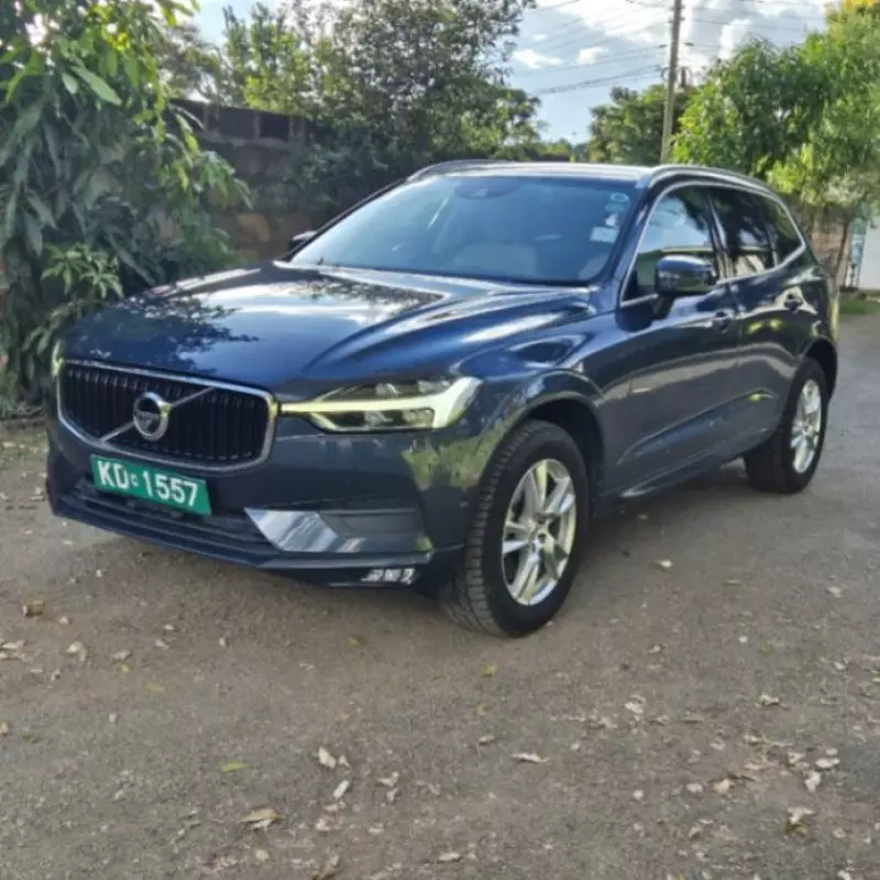 Volvo XC60   - 2019