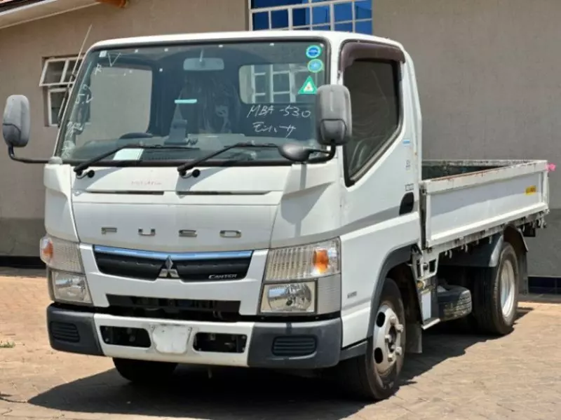 Mitsubishi Fuso   - 2019