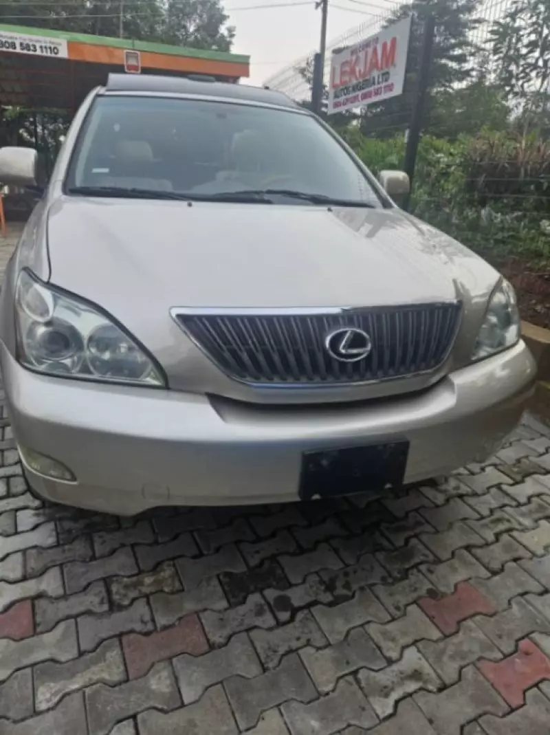 Lexus RX 330 - 2005