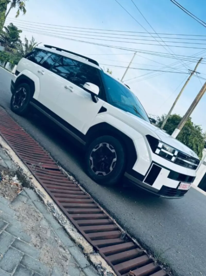 Hyundai Santa Fe   - 2024