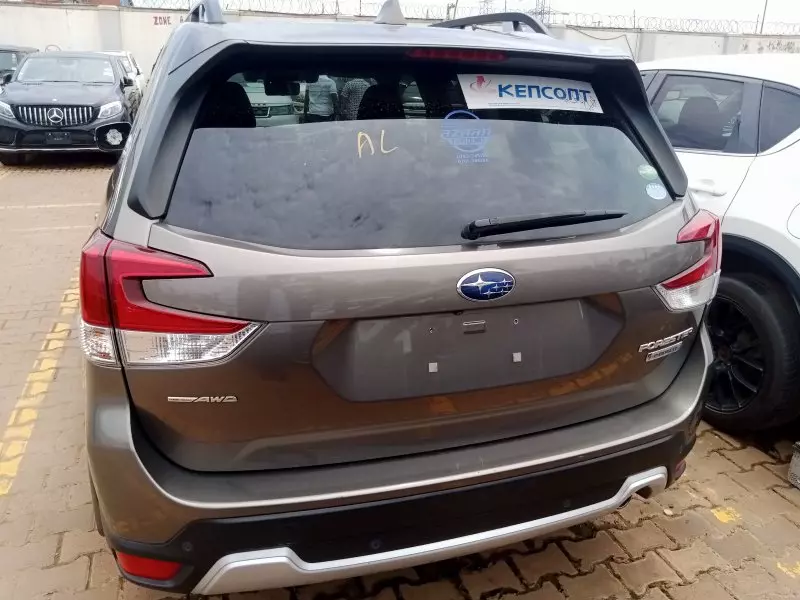 Subaru Forester   - 2019