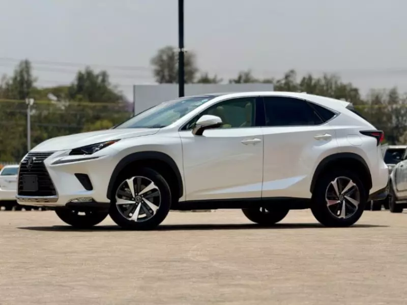 Lexus NX 300   - 2018