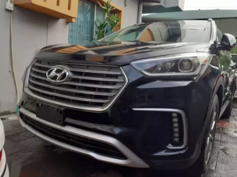 Hyundai Grand Santa Fe   - 2017