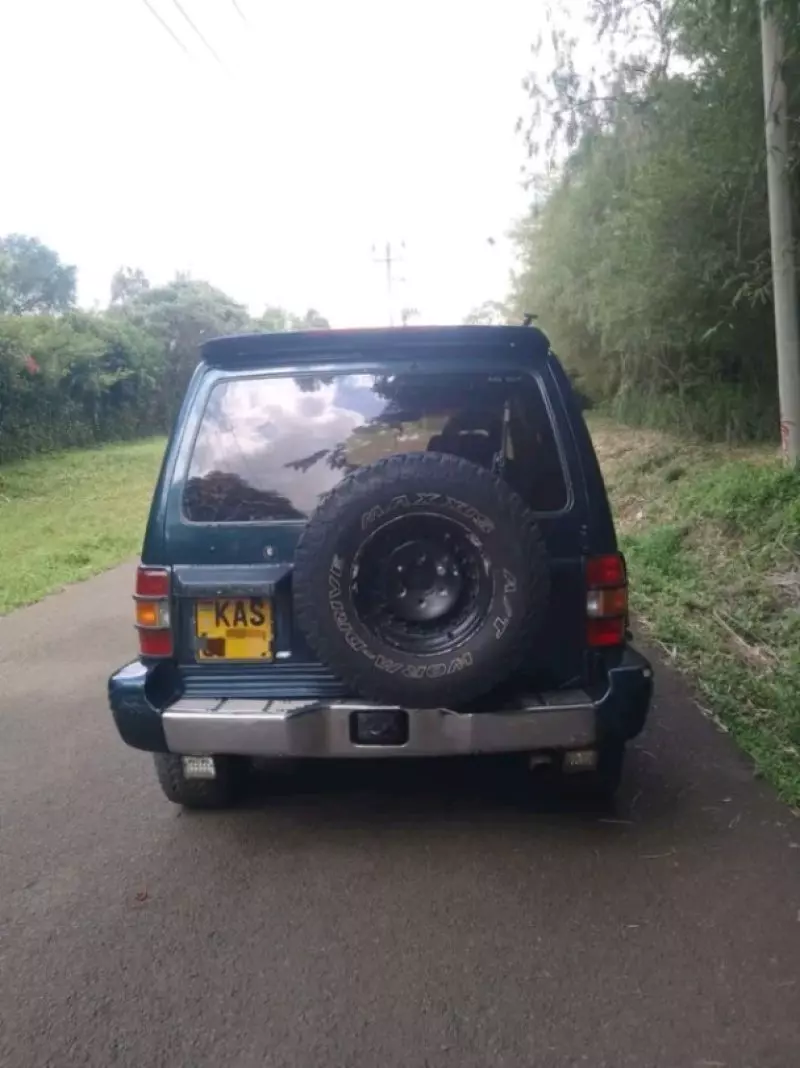 Mitsubishi Pajero - 1992