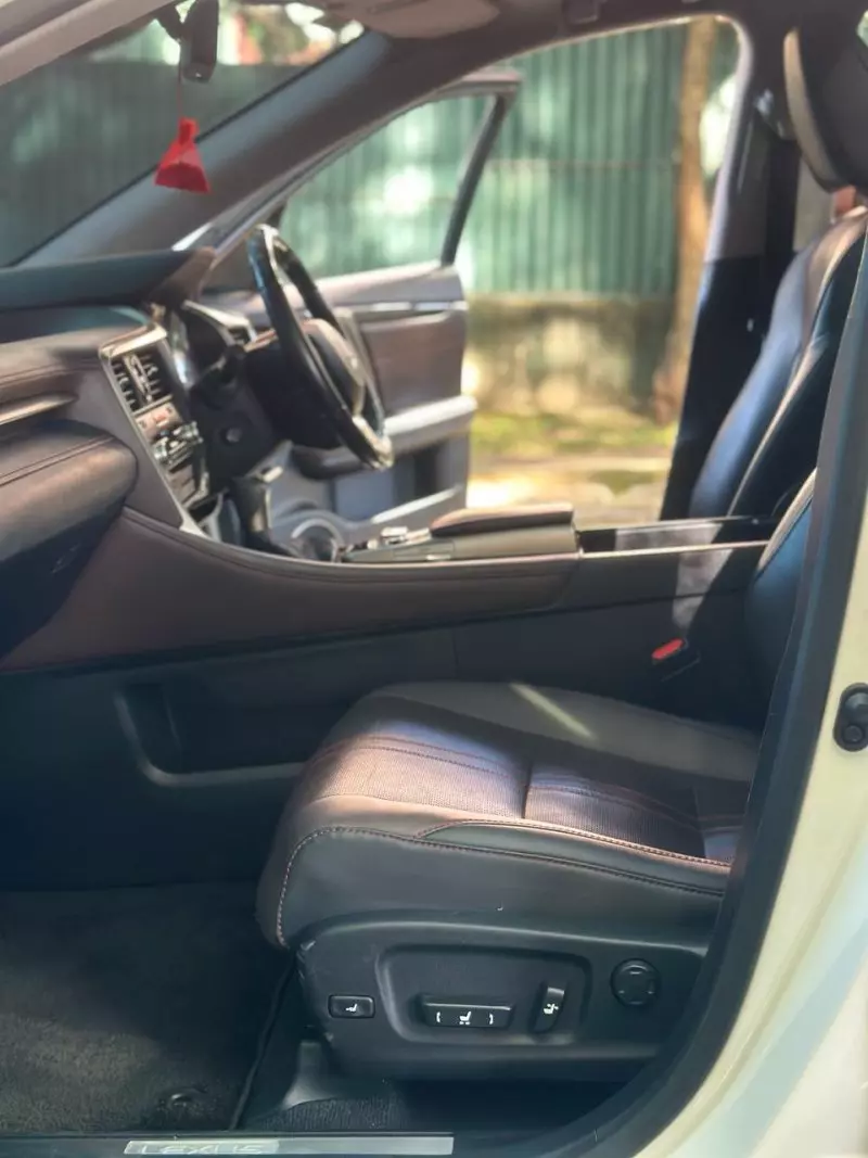 Lexus RX 300   - 2018