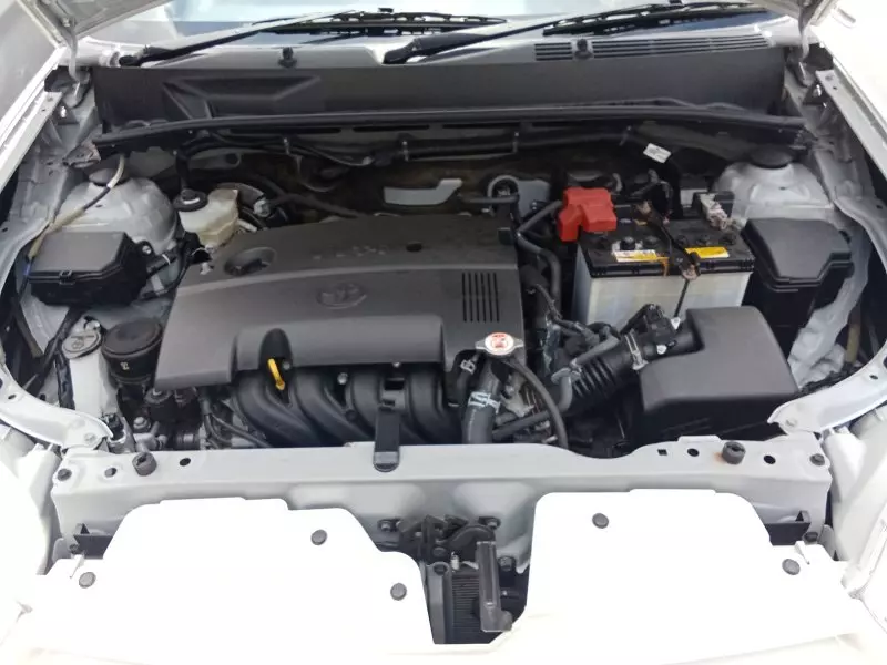 Toyota Probox    - 2019