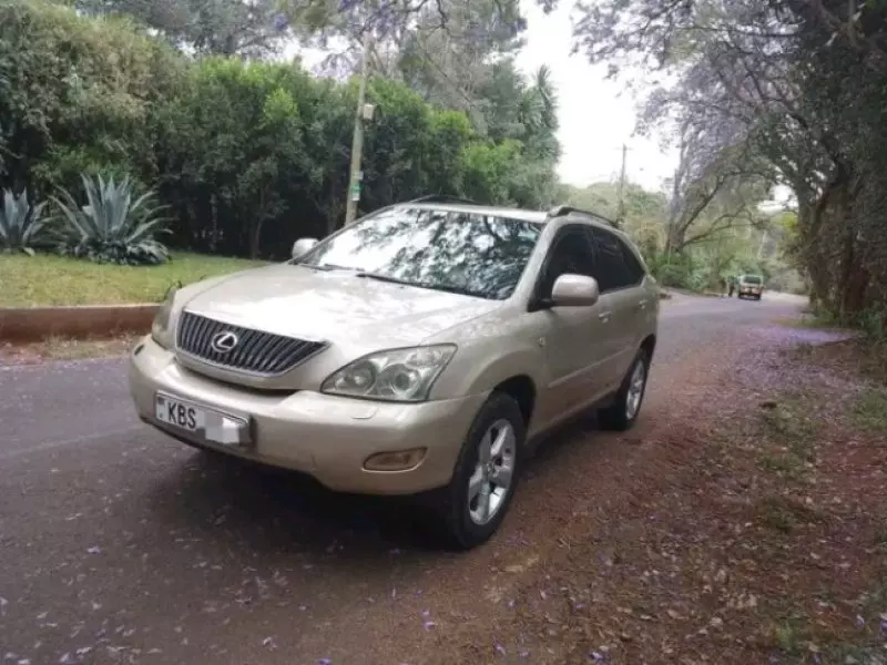Lexus RX 300   - 2005