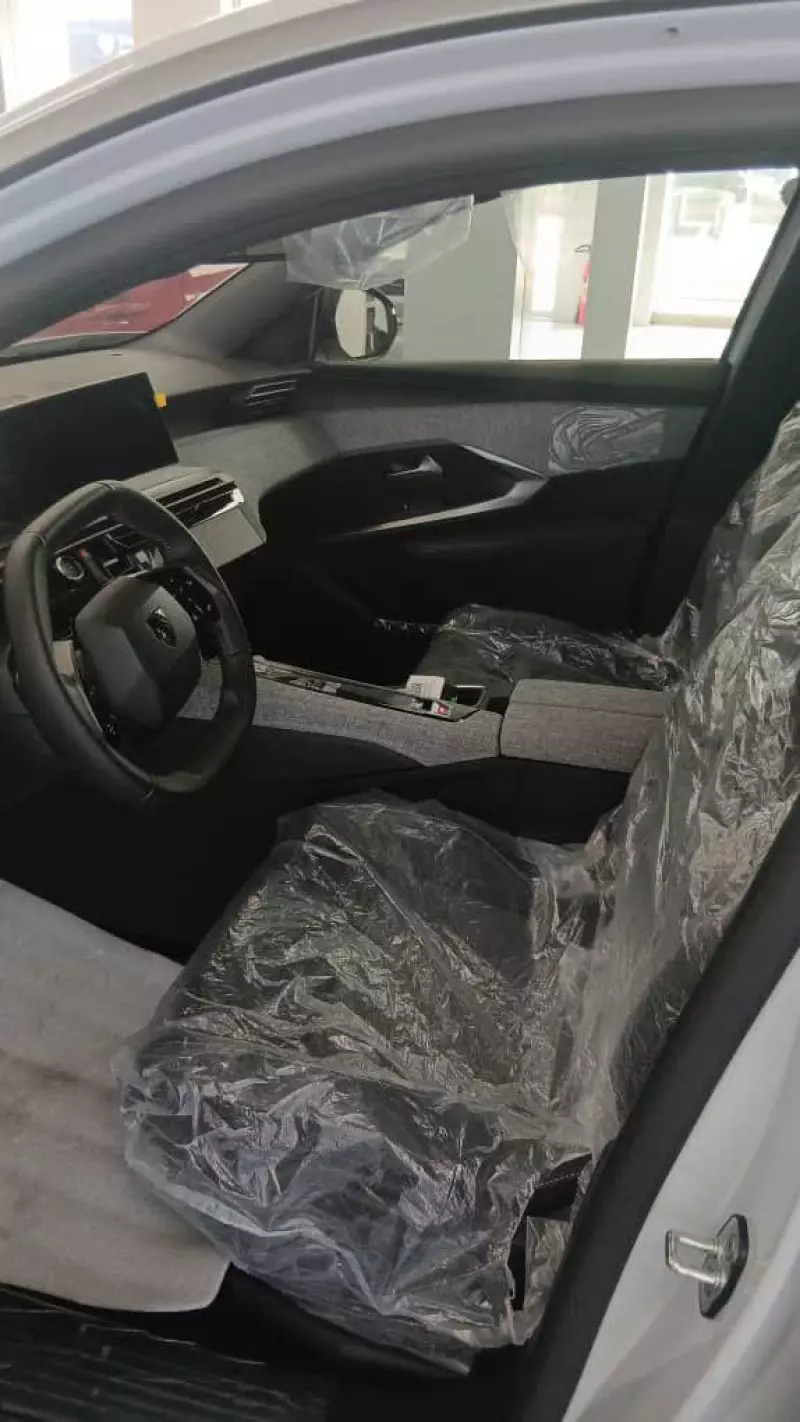 Peugeot 3008   -