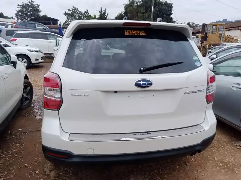 BYD 124 Spider   - 2015