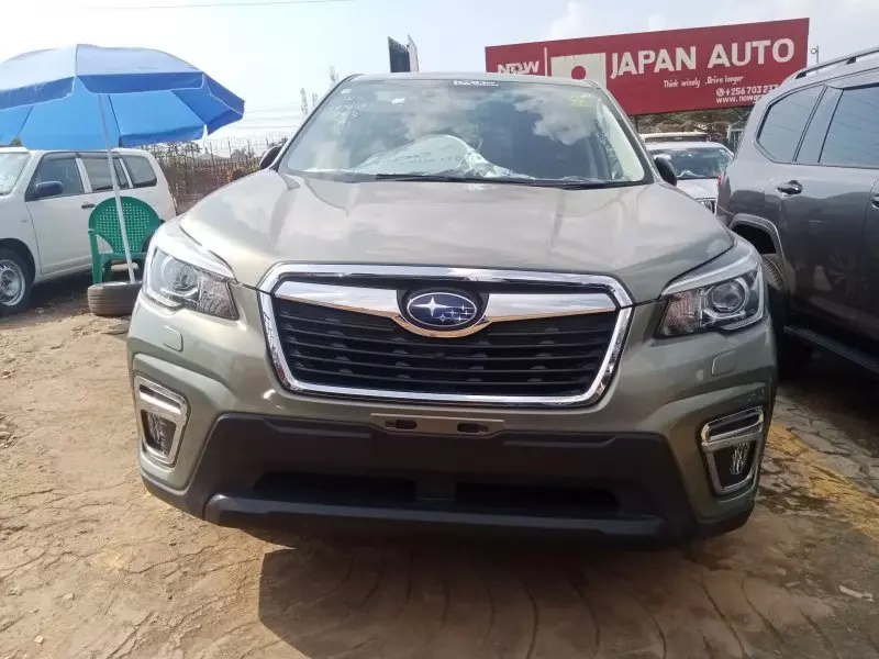 Subaru Forester   - 2019