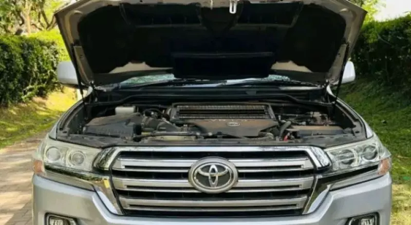 Toyota Land Cruiser   - 2010