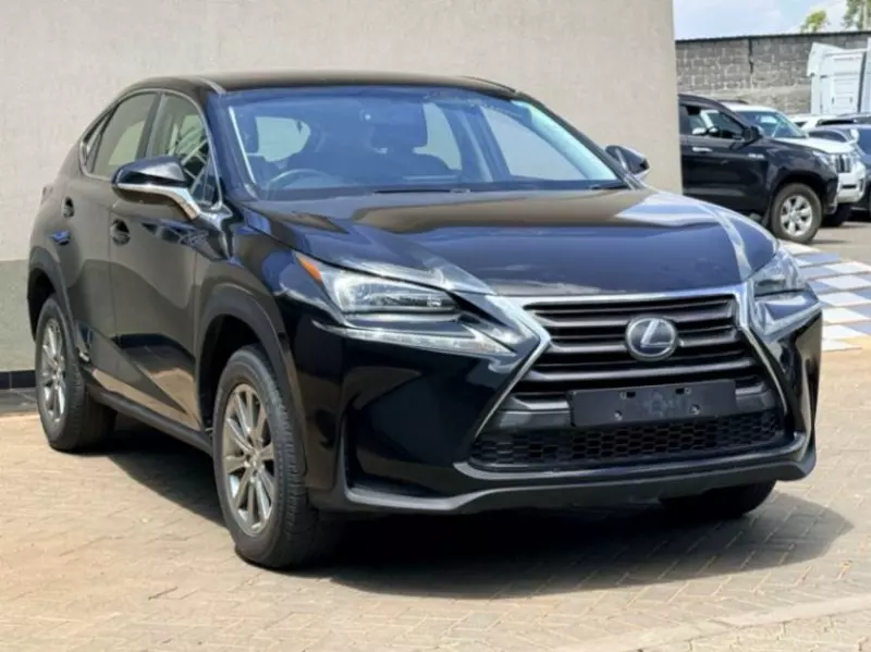 Lexus NX 300
