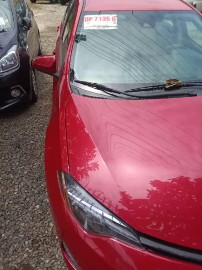 Toyota Corolla   - 2019